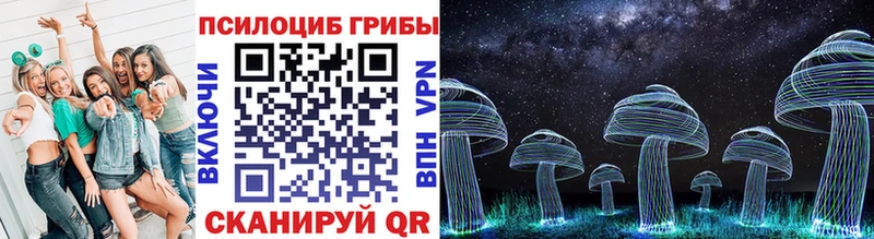 Галлюциногенные грибы Psilocybe  Купить  Нижняя Салда 